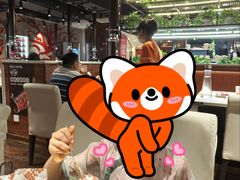 -猫爪爪原切自助烤肉(观音桥阳光世纪店)
