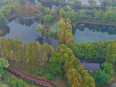 -金银湖国家城市湿地公园
