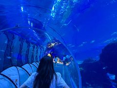 -成都浩海立方海洋公园