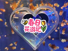 -南昌融创海世界