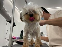 -comecome来吧宠物(奥克斯中心店)