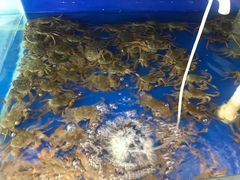 -阳澄湖大闸蟹·琼灵阁牌品牌连锁(吴中总店)