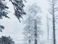 -瓦屋山景区