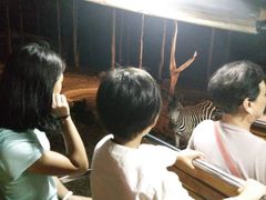 -清迈夜间动物园