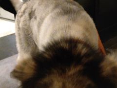 -星巴克(苏州泰华店)