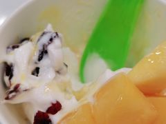 -Salud撒露欧洲冻酸奶(五道口购物中心店)