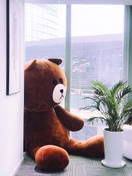 -贞禾医美·连锁