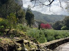 -雁荡山风景名胜区