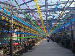 -亲兄弟真人CS团建拓展基地