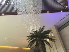 -常州环球恐龙城维景国际大酒店