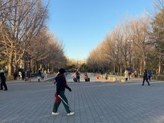 -玲珑塔公园