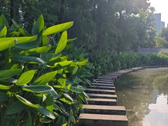 -重庆彩云湖湿地公园