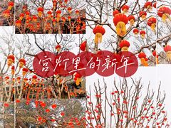 -颐和园