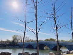 -马家湾湿地公园
