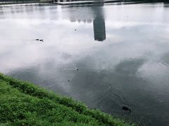 -南宁南湖公园