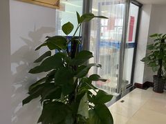 -平凉社区图书馆