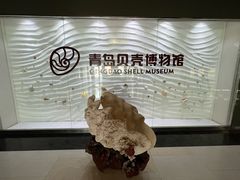 -青岛贝壳博物馆