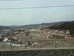 -横道河子东北虎林园