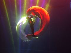 -芜湖新华联大白鲸海洋公园