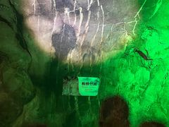 -华阳洞风景区