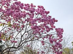 -天河体育中心