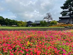 -狼山风景名胜区