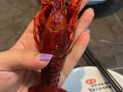 -盱眙虾神於氏龙虾(夫子庙红街店)