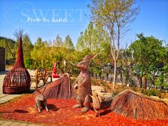 -北京西山国家森林公园