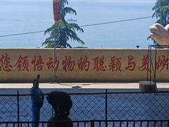 -东方熊牧场