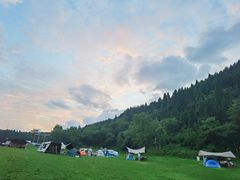 -武陵山森林公园