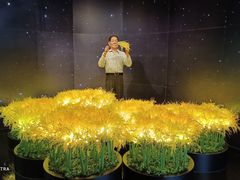 -厦门帷幕开啦红地毯蜡像艺术馆