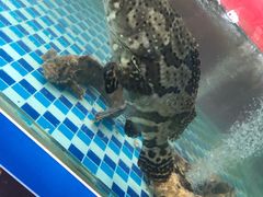 -87号烧烤海鲜·大排档(金沙滩店)