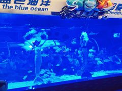 -成都浩海立方海洋公园