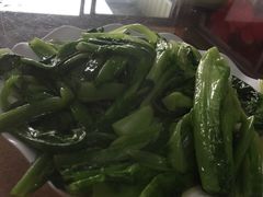 -荔枝红五号农庄