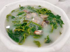 上汤桑叶-姚林轩