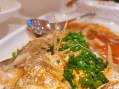 -醉辉皇原味海鲜江南菜(成都大魔方店)