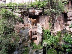 -长鹿旅游休博园
