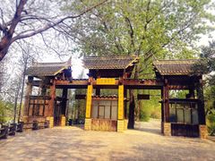 -溱湖国家湿地公园