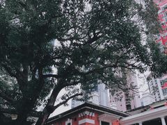 -大馆(前中区警署建築群)