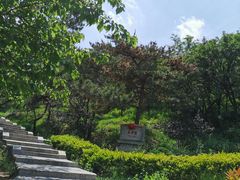 -崂山仰口游览区