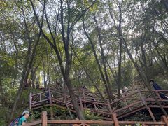 -大岭沟猕猴桃谷风景区