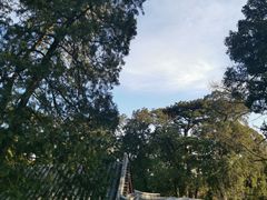 -香山公园