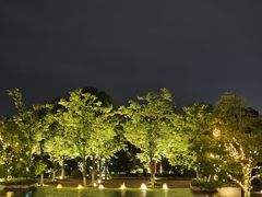 -太湖饭店玉兰厅(自助餐厅)