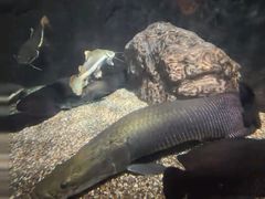 -太平洋海底世界