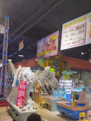 -卡通尼·Safari非洲探索乐园·生日会(金桥国际商业广场店)