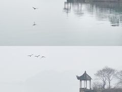 -东钱湖旅游度假区