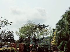 -三亚亚龙湾人间天堂鸟巢度假村