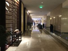 -常州环球恐龙城维景国际大酒店