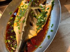 -佬肥猫(七宝宝龙店)