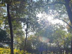 -上海市保健医疗中心